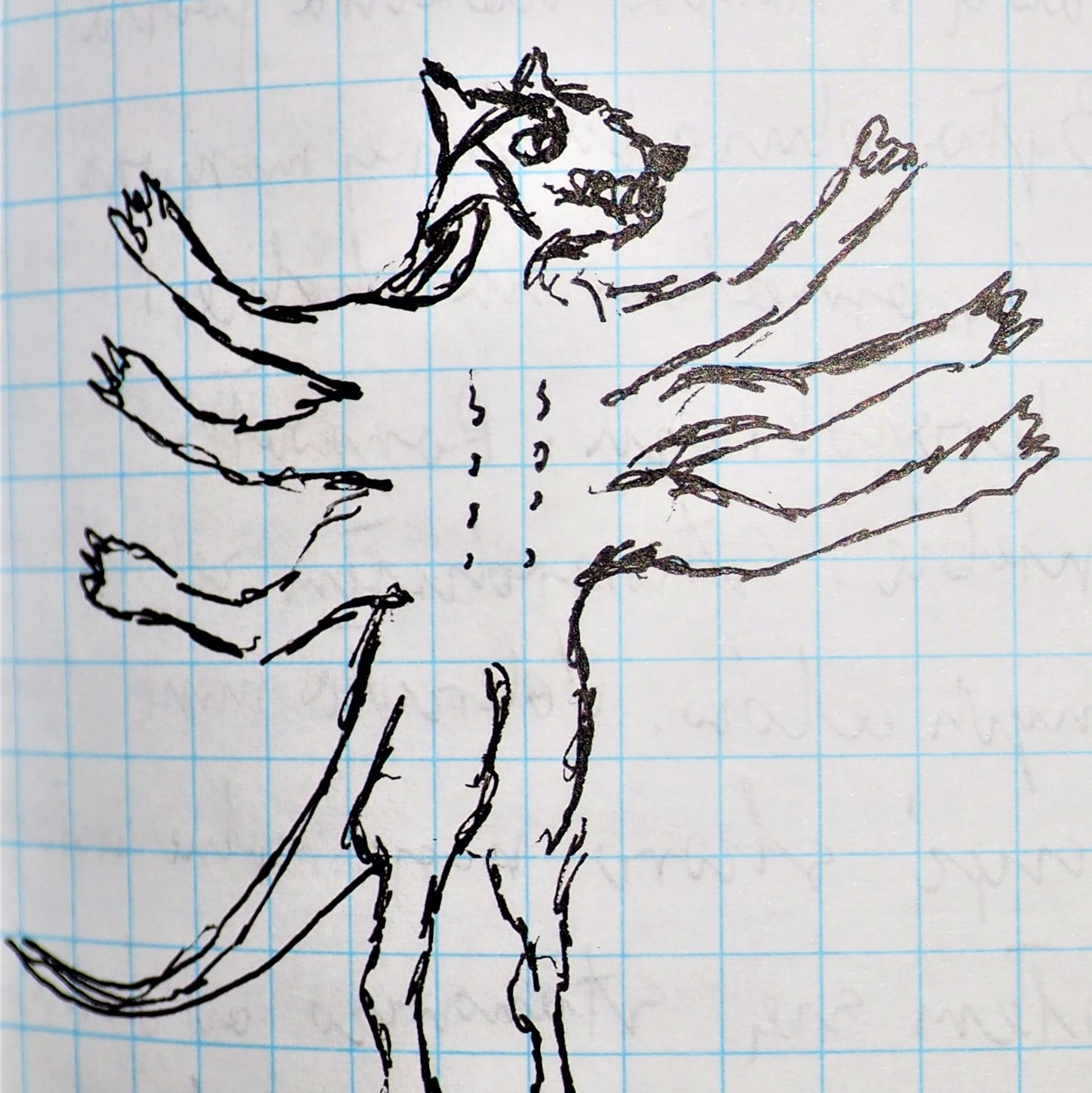 Potęga świadomości